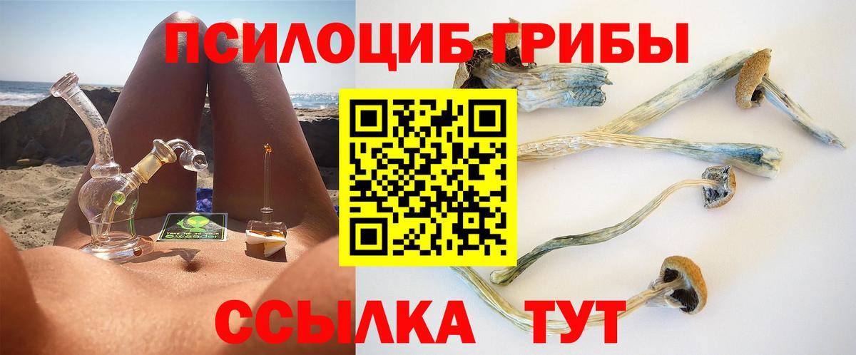 Псилоцибиновые грибы GOLDEN TEACHER  Галлюциногенные грибы MAGIC MUSHROOMS  Кувандык  Вход с VPN 
